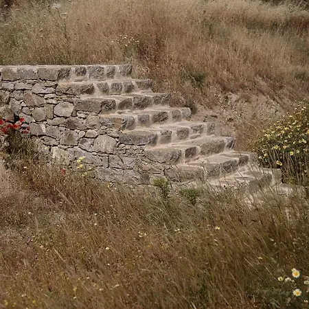 Jardin Apartment Mikri Vigla